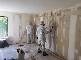 Best Mold Documentation for Insurance Claims in USA